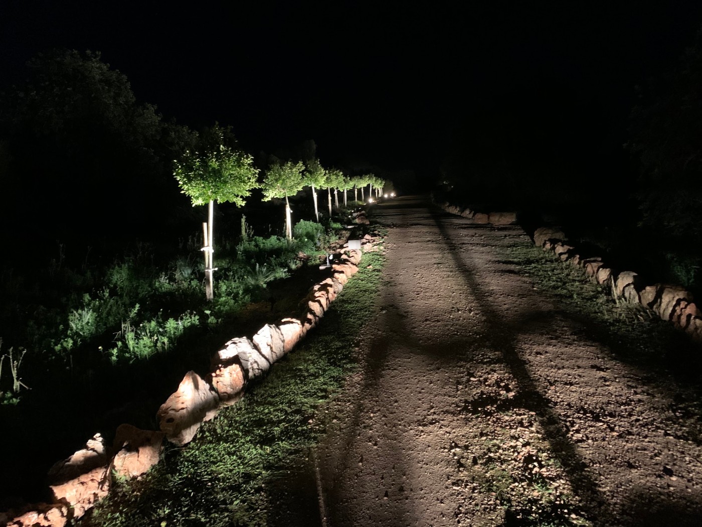 The drive at night