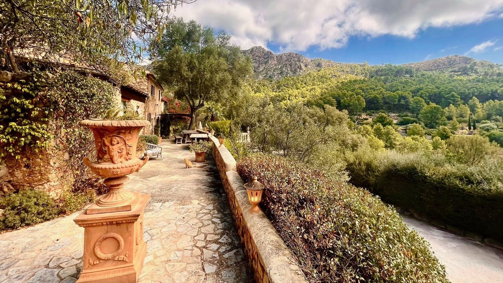 From the top terrace: the valley and the mountains beyond Andratx