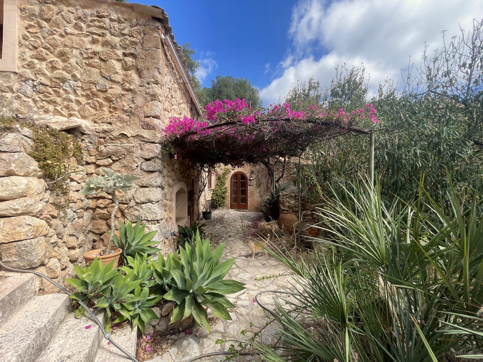 The courtyard and its pergola