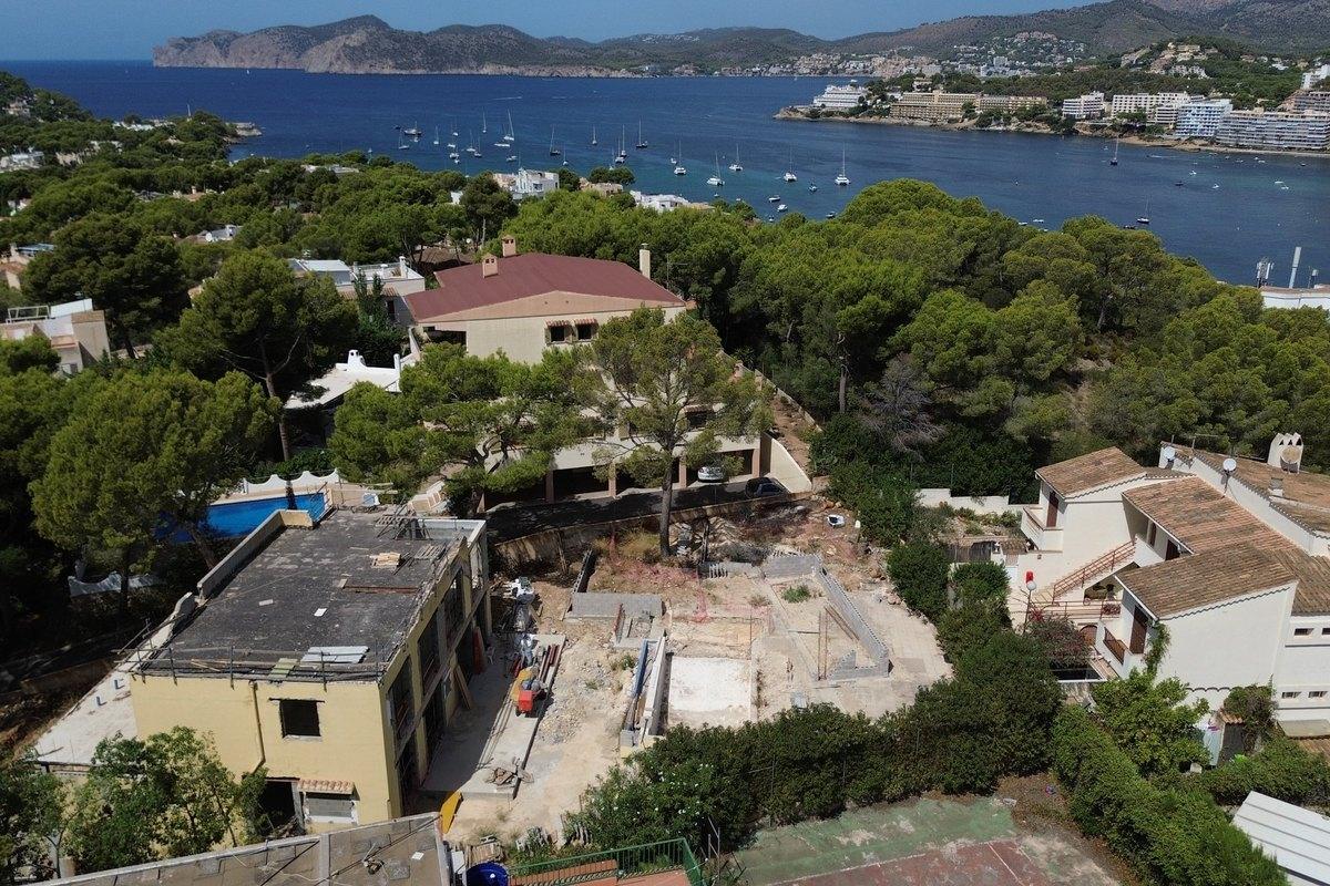 The plot above the bay, September 2026